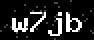 verify code