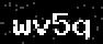 verify code