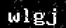 verify code