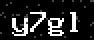 verify code