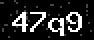 verify code