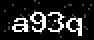 verify code