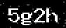 verify code
