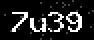 verify code