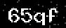verify code
