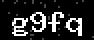verify code