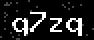 verify code