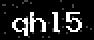verify code