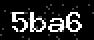 verify code