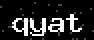 verify code