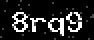 verify code