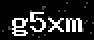 verify code