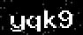 verify code
