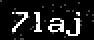 verify code