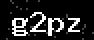 verify code