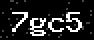 verify code