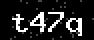 verify code
